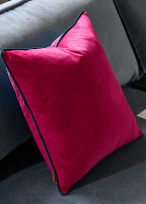 Meridian Velvet Cushion Raspberry/Teal